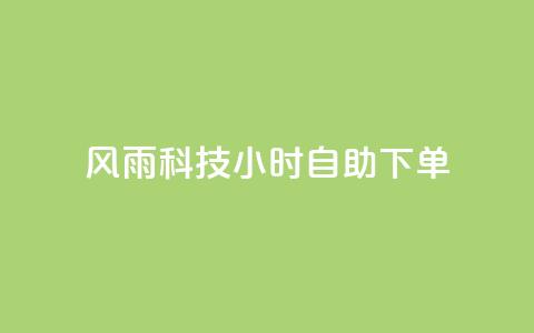 风雨科技24小时自助下单 - 风雨科技24小时自助服务订购！ 第1张