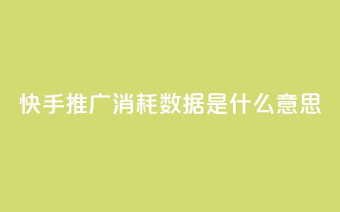 快手推广消耗数据是什么意思,ks直播业务平台怎么下 - qq24小时自助下单商城 口碑最好的美容仪 第1张 快手推广消耗数据是什么意思,ks直播业务平台怎么下 - qq24小时自助下单商城 口碑最好的美容仪 第1张