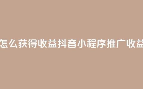 抖音推广小程序怎么获得收益 - 抖音小程序推广收益获取指南~ 第1张 抖音推广小程序怎么获得收益 - 抖音小程序推广收益获取指南~ 第1张