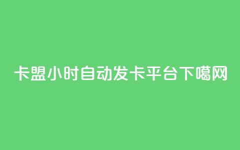 卡盟24小时自动发卡平台 第1张