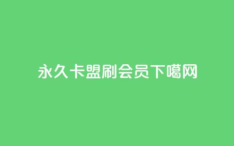 永久卡盟刷QQ会员 第1张 永久卡盟刷QQ会员 第1张