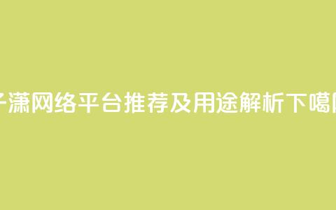 子潇网络平台推荐及用途解析 第1张 子潇网络平台推荐及用途解析 第1张