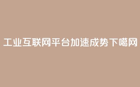 工业互联网平台加速成势 第1张 工业互联网平台加速成势 第1张
