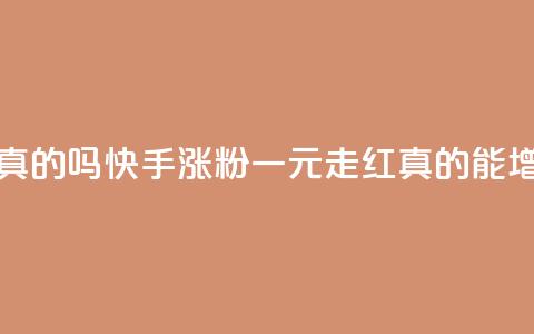 快手一元涨粉1000个是真的吗 - 快手涨粉一元走红,真的能增加1000个粉丝吗?~ 第1张 快手一元涨粉1000个是真的吗 - 快手涨粉一元走红,真的能增加1000个粉丝吗?~ 第1张
