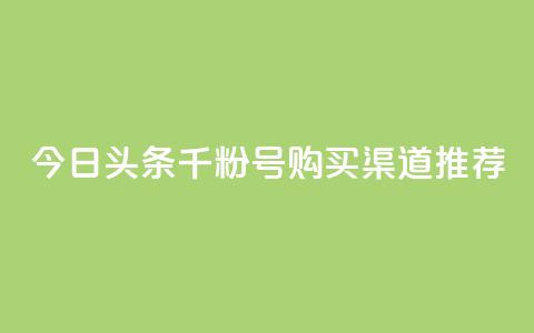 今日头条千粉号购买渠道推荐 第1张 今日头条千粉号购买渠道推荐 第1张