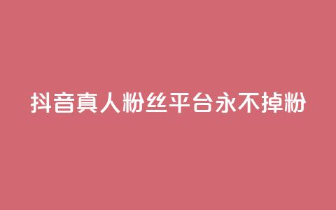 抖音真人粉丝平台 永不掉粉 - 抖音粉丝平台:畅享稳定粉丝,永远不失粉!~ 第1张 抖音真人粉丝平台 永不掉粉 - 抖音粉丝平台:畅享稳定粉丝,永远不失粉!~ 第1张