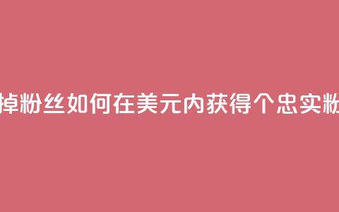 1元3000粉丝不掉粉丝 - 如何在1美元内获得3000个忠实粉丝?! 第1张 1元3000粉丝不掉粉丝 - 如何在1美元内获得3000个忠实粉丝?! 第1张