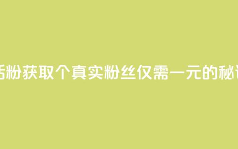 粉丝一元1000个活粉 - 获取1000个真实粉丝仅需一元的秘诀分享~ 第1张 粉丝一元1000个活粉 - 获取1000个真实粉丝仅需一元的秘诀分享~ 第1张