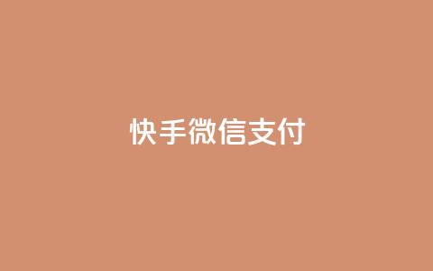 快手微信支付 - 24小时下单超便宜 第1张 快手微信支付 - 24小时下单超便宜 第1张