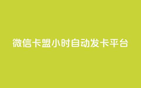 微信卡盟24小时自动发卡平台,云小店24小时下单平台 - 拼多多自动下单脚本 拼多多砍一刀代砍 第1张 微信卡盟24小时自动发卡平台,云小店24小时下单平台 - 拼多多自动下单脚本 拼多多砍一刀代砍 第1张