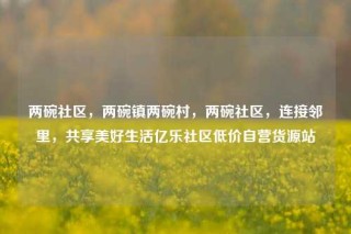 两碗社区，两碗镇两碗村，两碗社区，连接邻里，共享美好生活亿乐社区低价自营货源站