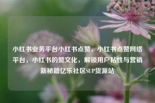 小红书业务平台小红书点赞，小红书点赞网络平台，小红书的赞文化，解锁用户粘性与营销新秘籍亿乐社区SUP货源站