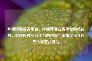 哔哩哔哩业务平台，哔哩哔哩业务平台网站优势，哔哩哔哩业务平台的创新与未来亿乐社区低价自营货源站