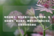 电信流量卡，电信流量卡19元200g官方办理，电信流量卡，满足需求、便捷生活的选择亿乐社区低价自营货源站
