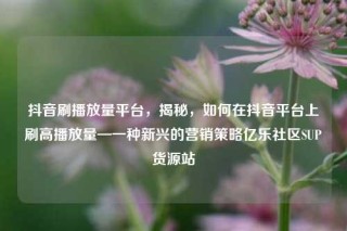 抖音刷播放量平台，揭秘，如何在抖音平台上刷高播放量—一种新兴的营销策略亿乐社区SUP货源站