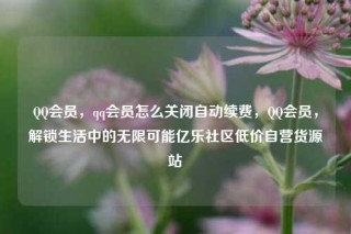 QQ会员，qq会员怎么关闭自动续费，QQ会员，解锁生活中的无限可能亿乐社区低价自营货源站