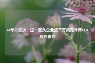 60年来首次！这一巨头企业近千万美元年薪CEO意外被炒