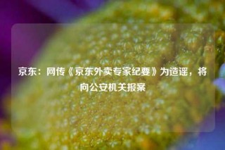 京东：网传《京东外卖专家纪要》为造谣，将向公安机关报案