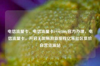 电信流量卡，电信流量卡19元200g官方办理，电信流量卡，开启无限畅游新旅程亿乐社区低价自营货源站