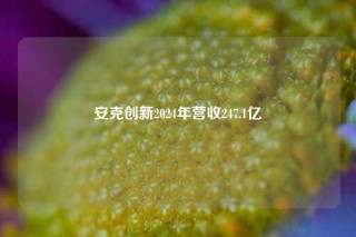 安克创新2024年营收247.1亿