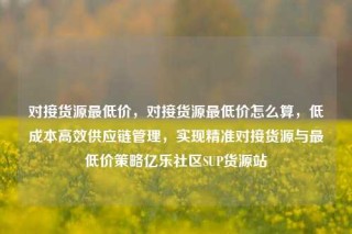 对接货源最低价，对接货源最低价怎么算，低成本高效供应链管理，实现精准对接货源与最低价策略亿乐社区SUP货源站