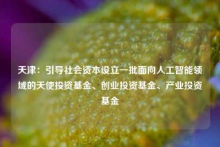 天津：引导社会资本设立一批面向人工智能领域的天使投资基金、创业投资基金、产业投资基金