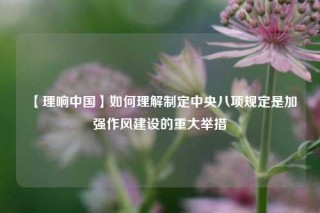 【理响中国】如何理解制定中央八项规定是加强作风建设的重大举措