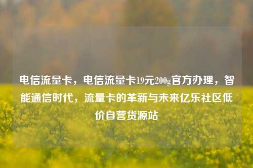电信流量卡	，电信流量卡19元200g官方办理，智能通信时代，流量卡的革新与未来亿乐社区低价自营货源站  第1张