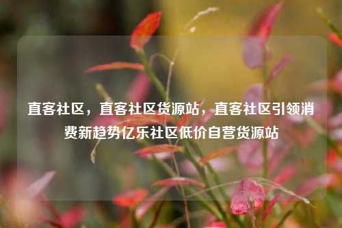 直客社区，直客社区货源站	，直客社区引领消费新趋势亿乐社区低价自营货源站  第1张