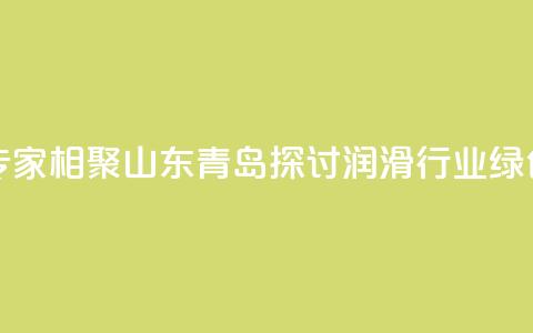 业界专家相聚山东青岛探讨润滑行业绿色发展  第1张