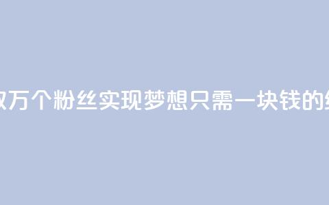 1块1万粉 - 如何获取1万个粉丝:实现梦想只需一块钱的绝佳策略~ 第1张 1块1万粉 - 如何获取1万个粉丝:实现梦想只需一块钱的绝佳策略~ 第1张