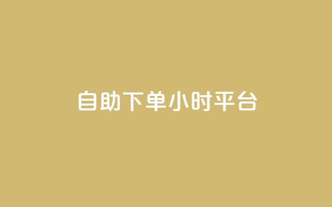 自助下单24小时平台 - 全天候自助下单平台，24小时无缝服务体验~  第1张