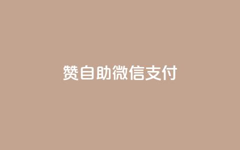 Ks赞自助微信支付,qq云商城的下单流程 - 拼多多0.01积分后面是什么 史密斯韦森CSX9  第1张