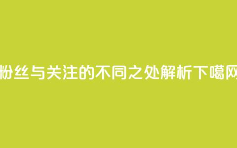 粉丝与关注的不同之处解析  第1张