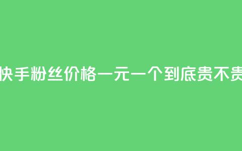 快手粉丝价格一元一个到底贵不贵  第1张