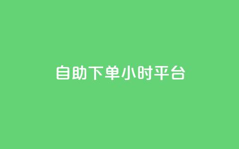 自助下单24小时平台Xhs - 自助下单平台Xhs再次革新，24小时内实现快速下单！~  第1张