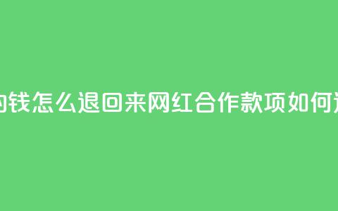 网红助力的钱怎么退回来(网红合作款项如何退还)  第1张