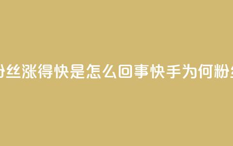 快手粉丝涨得快是怎么回事(快手为何粉丝激增) 第1张 快手粉丝涨得快是怎么回事(快手为何粉丝激增) 第1张