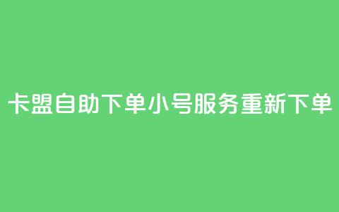 卡盟自助下单小号服务重新下单 第1张 卡盟自助下单小号服务重新下单 第1张