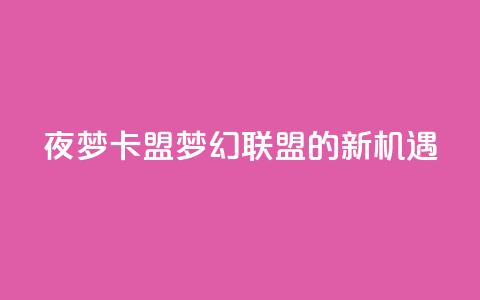 夜梦卡盟：梦幻联盟的新机遇  第1张