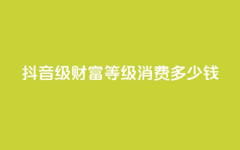 抖音24级财富等级消费多少钱,快手低价业务自助平台软件 - 刷大众点评访客软件 抖音如何刷1000贡献用户  第1张