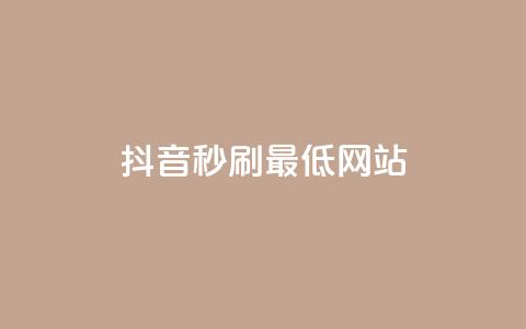 抖音秒刷最低网站 - 抖音秒刷必看：网站流量优化技巧!  第1张