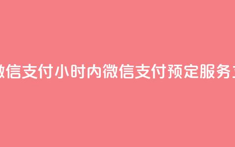 点赞24小时下单微信支付 - 24小时内微信支付 预定服务 立即赞购~  第1张