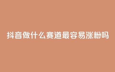 抖音做什么赛道最容易涨粉吗,快手抖音24小时业务秒单 - 拼多多业务网 dy自助商城  第1张