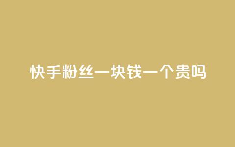 快手粉丝一块钱一个贵吗 - 快手粉丝一元一个是否值得购买解析! 第1张 快手粉丝一块钱一个贵吗 - 快手粉丝一元一个是否值得购买解析! 第1张