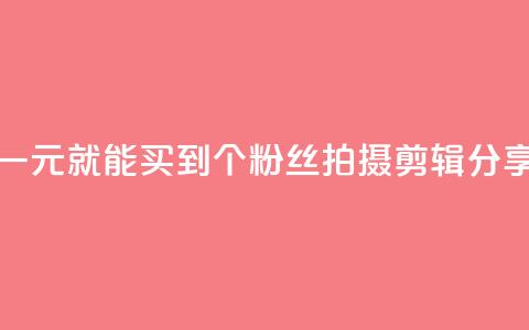 快手买站一块钱1000 - 快手一元就能买到1000个粉丝！拍摄	、剪辑、分享，快速增长人气！~  第1张