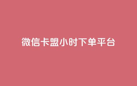 微信卡盟24小时下单平台 - 24小时便捷下单的微信卡盟平台揭秘！  第1张