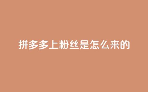 拼多多上粉丝是怎么来的 - 拼多多是如何吸引粉丝的?~ 第1张 拼多多上粉丝是怎么来的 - 拼多多是如何吸引粉丝的?~ 第1张