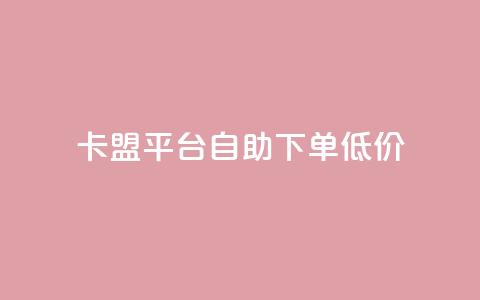 卡盟平台自助下单低价 - 自助下单低价卡盟平台助你轻松购卡！  第1张