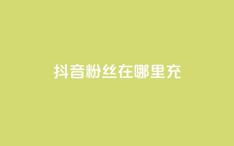 抖音粉丝在哪里充 - 如何在抖音平台给粉丝充值的详细指南!  第1张